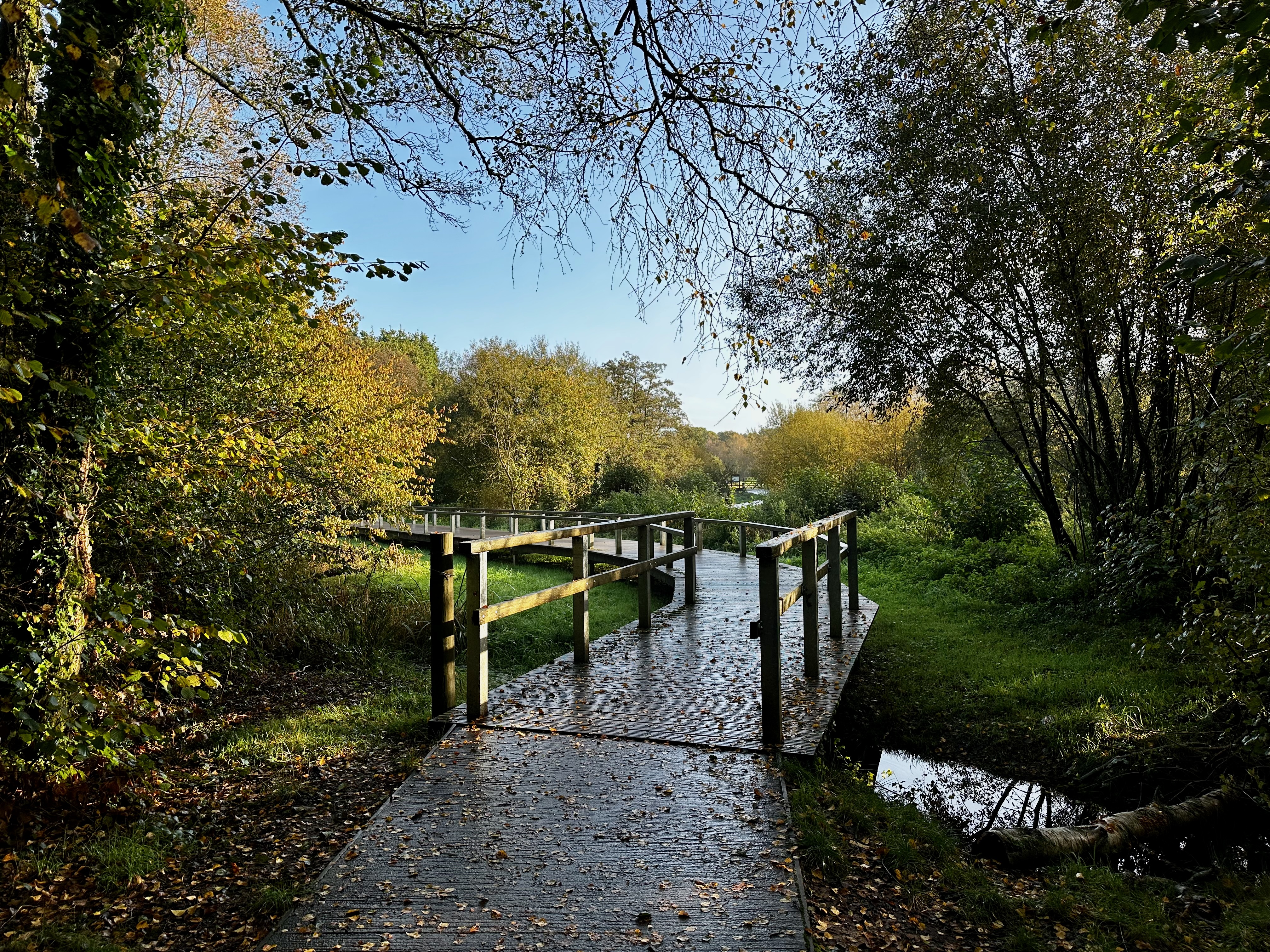 moors valley country park
