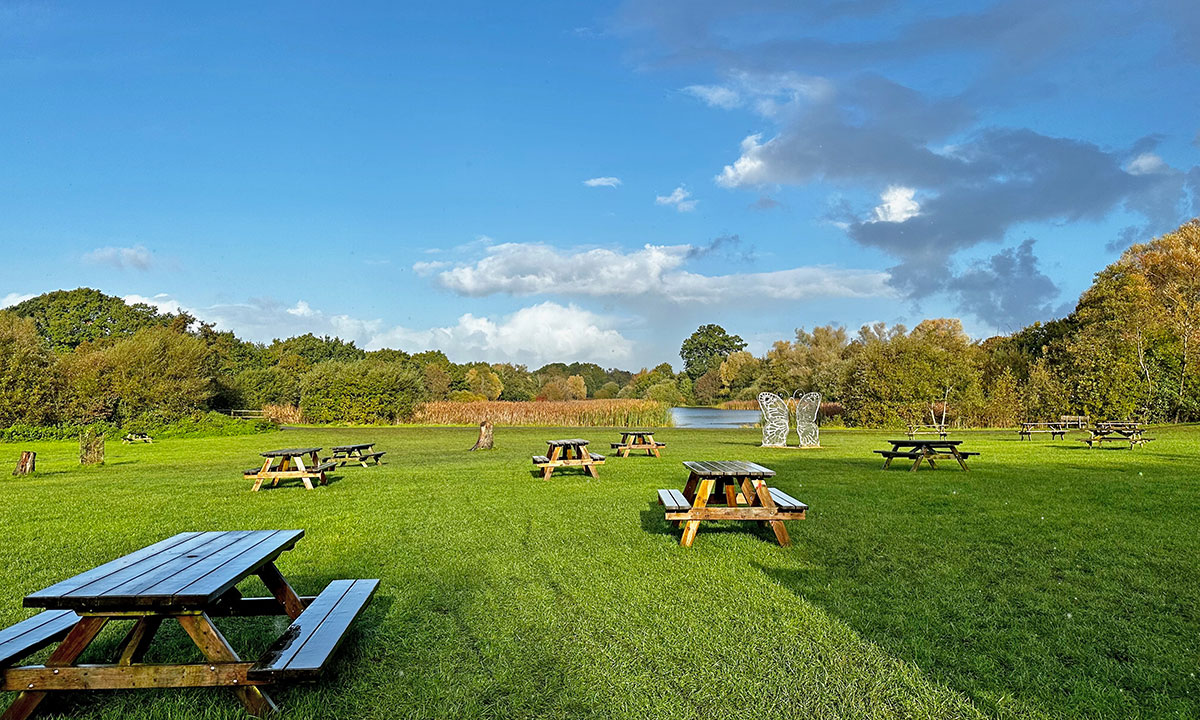 moors valley country park